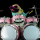 Illustration for article titled Let’s all just watch this sunglass-wearing pug play “Enter Sandman” on drums